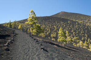 Septiembre en La Palma: el mes perfecto para descubrir la Isla Bonita