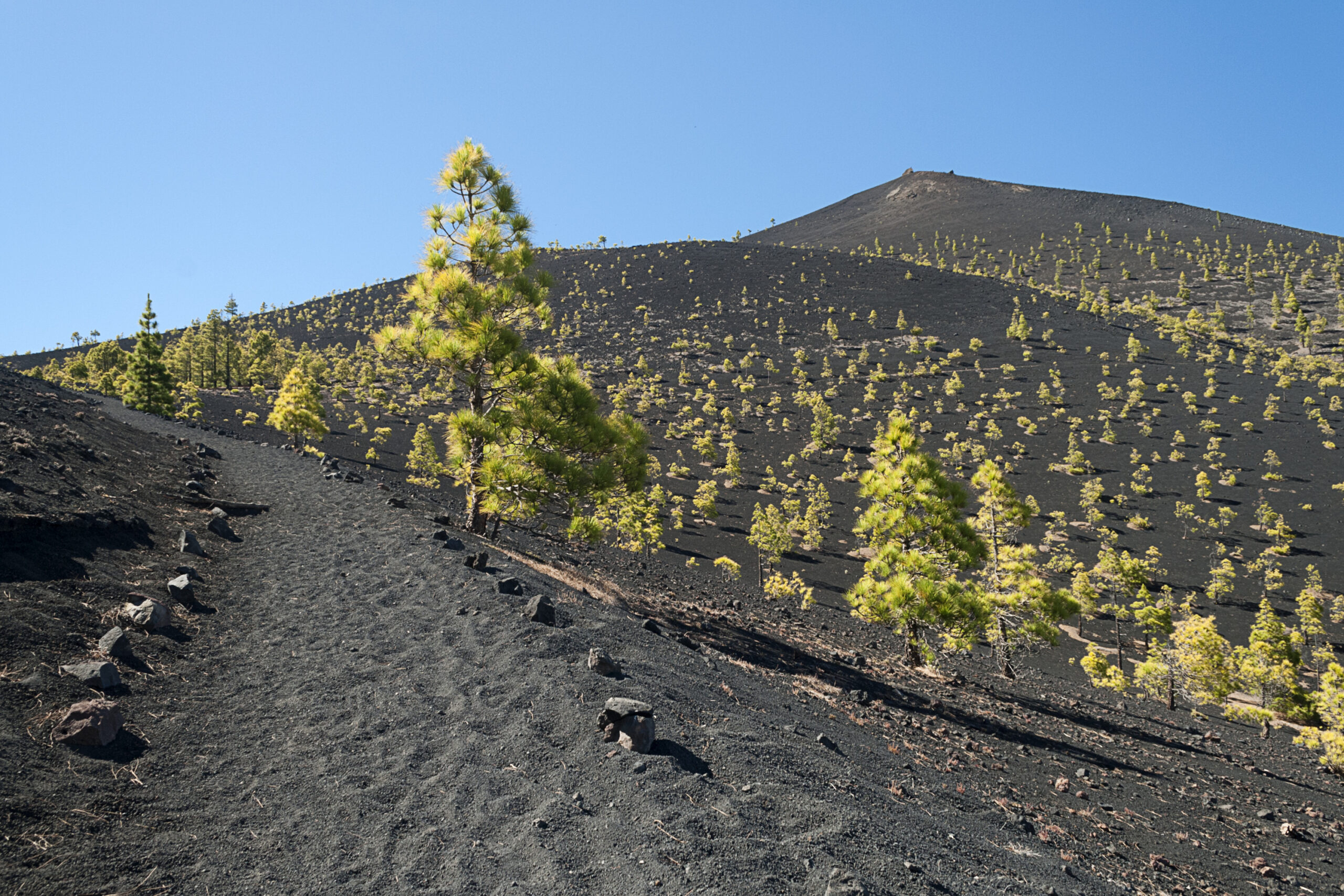 Septiembre en La Palma: el mes perfecto para descubrir la Isla Bonita